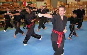 Wang's Martial Arts Black Belt test picture