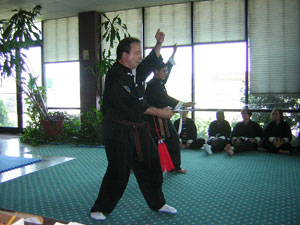 William Stanley Tai Chi test picture